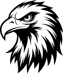 eagle head vector illustration