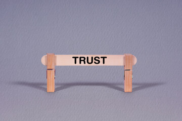 Trust symbol. Single Wooden stick restrained by Clothespins, beautiful Gray Background. Business and Trust concept with copy space