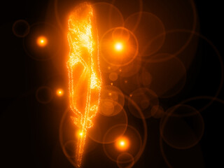 feather quill