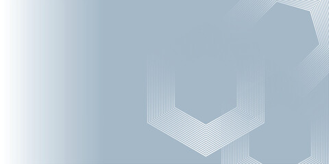 Fototapeta premium Abstract hexagon lines on gray background modern