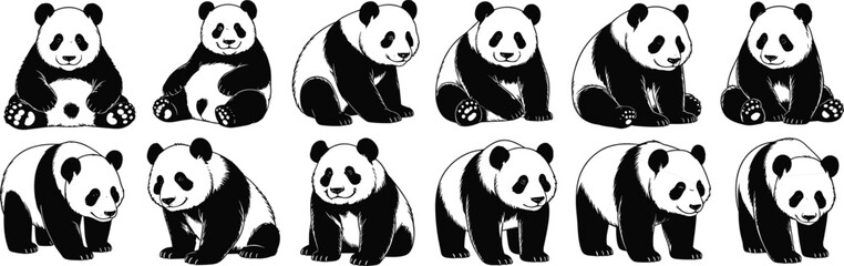 Cute giant panda bear icon set. Black and white graphic collection of an endangered Asian animal in multiple cartoon positions
