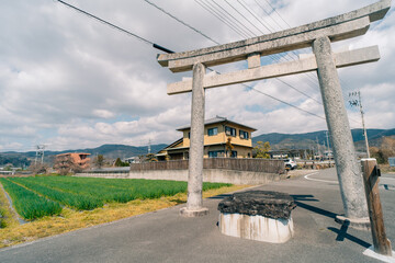 farm fields on the island of Shikoku, Japan
