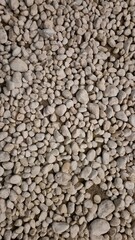 White Pebbles Texture A Collection of Smooth Stones