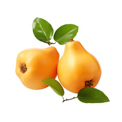 Ripe quince fruit isolated on a  background. Fresh fruits. png