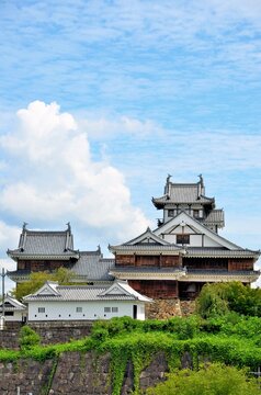 伯耆丸跡から望む福知山城 天守閣・銅門番所	