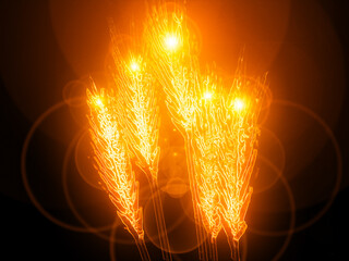 graine spikelet