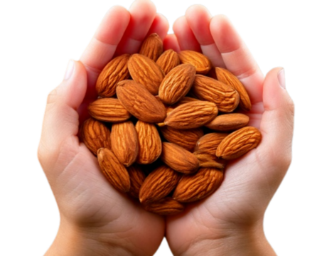 Child’s Hand Holding Organic Almonds, isolated on a transparent background PNG - Powered by Adobe