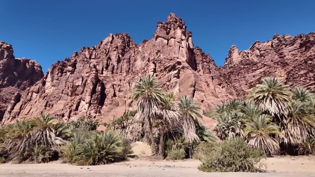 Wadi Al disah Saudi Arabia Deserts canyon Middle East exotic nature landscape 