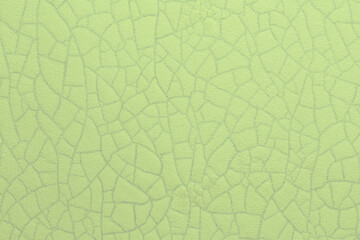 Light green wallpaper with a close-up texture of veins or cracks