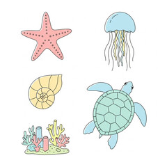Illustration of sea life including a starfish, jellyfish, shell, turtle, and coral reef on a white background.