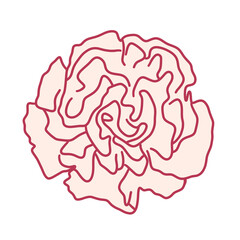Pink Carnation Flower Line Art PNG Transparent Floral Outline Clipart