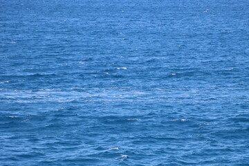 Mar azul con colores turquesas en el oceano de Grecia. Hay flores de bugambilias que resaltan los colores y las ondas del Mar con rojo