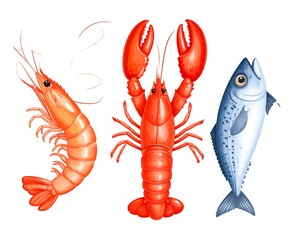 Colorful shrimp, lobster, and fish illustration