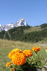 montañas o cumbre del monte cervinia o cervino que se llevará a cabo las olimpiadas, es un lugar...
