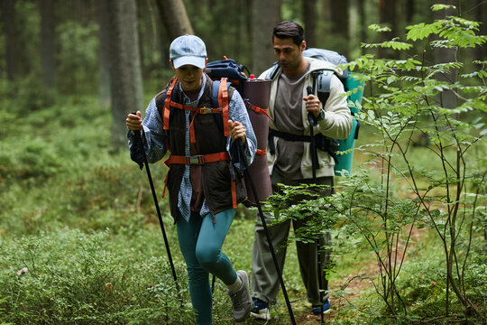 Young adult Caucasian woman and young adult Caucasian man hiking through forest carrying backpacks and trekking poles, walking along green woodland trail surrounded by trees and foliage