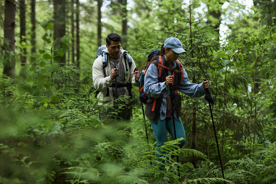 Young adult Caucasian man and young adult Caucasian woman hiking through dense forest carrying backpacks and trekking poles, navigating lush green vegetation and trees together - Powered by Adobe