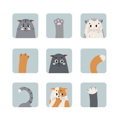 Set icons of cat faces, paws, and tails in square frames. Different emotions and gestures of kittens. Perfect for stickers, icons, avatars, design elements, posters, prints and decoration.