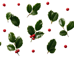 Holly leaves and berries, festive pattern
