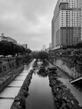 Fototapeta monochrome landscape photography 
