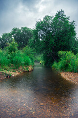 Serene Stream Flowing Through Lush Green Landscape on a Cloudy Day
