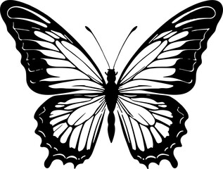 Minimal Butterfly Illustration
