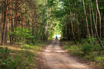 Dirt Path Through Forest with ATV Rider Near Nowy Lubiel, Poland © Ekaterina
