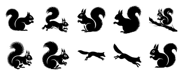 Squirrels and foxes in silhouette black white
