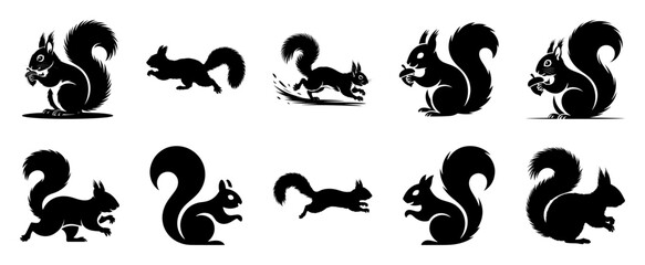 Black squirrels on white backgrounds animal silhouette