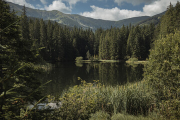 Low Tatras Slovakia - Demanovska dolina © Filip