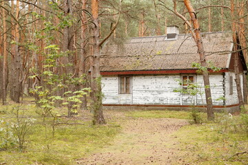 Drewniany dom na skraju lasu