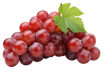 Fototapeta premium Close up studio photograph of a ripe red grape bunch with green leaf fruit food grapes