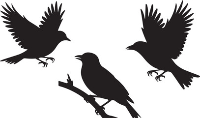 Flying Bird and Owl Silhouette Vector Set