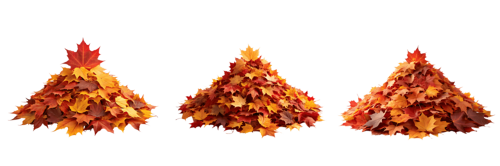 Piles of colorful autumn leaves isolated on transparent background