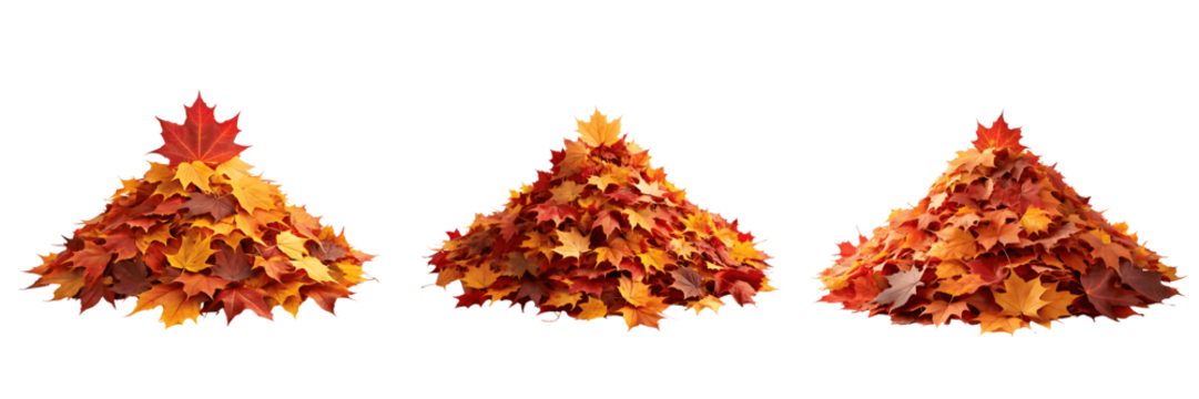 Piles of colorful autumn leaves isolated on transparent background