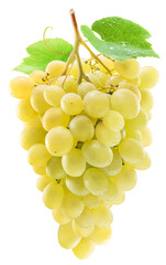 Cluster of white table grape with grape leaf. File contains clipping path.