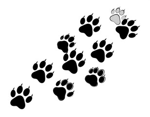 Fototapeta premium Black animal paw prints scattered diagonally