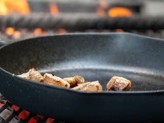 meat on the grill