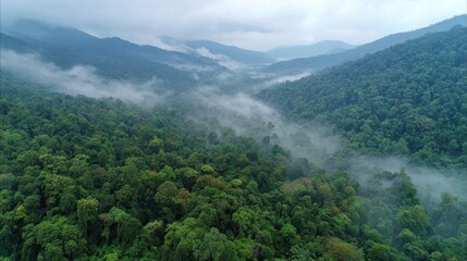 Aerial view misty mountain rainforest valley.  Use eco-tourism brochure