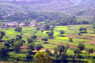 Beautiful landscape of green valley bank of Sohan river