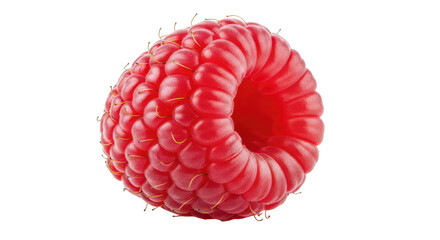 Single bright red raspberry with delicate yellow hairs on background fruit food