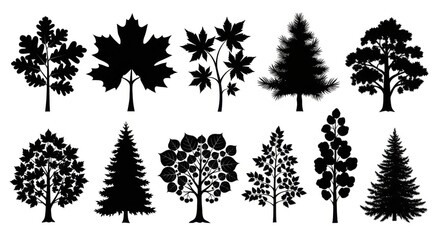Fototapeta premium Collection of Black Tree Silhouettes in Various Shapes and Sizes for Nature Design
