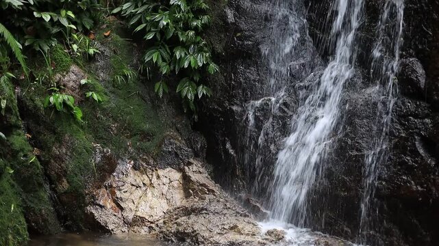 Natural waterfall video background, clean water from nature, the abundance of forest and nature study trip, see this beauty on high mountains or rainforests.
