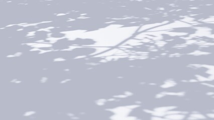 Abstract Tree Shadow on White Wall Background