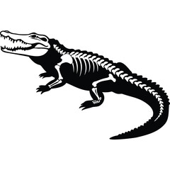 Fototapeta premium Alligator Skeleton Black and White Illustration crocodile bones reptile animal wildlife nature monochrome graphic vector design element