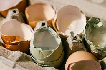 Colorful broken eggshells in a egg crate.