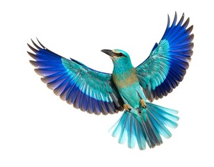 Vibrant blue bird in flight