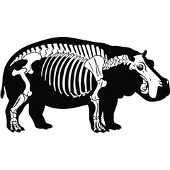 Fototapeta premium Hippopotamus Skeleton Anatomy Illustration hippo bones animal wildlife zoology biology science graphic vector black and white monochrome