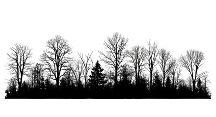 Silhouette of Leafless Trees on White Background for Nature or Winter Theme