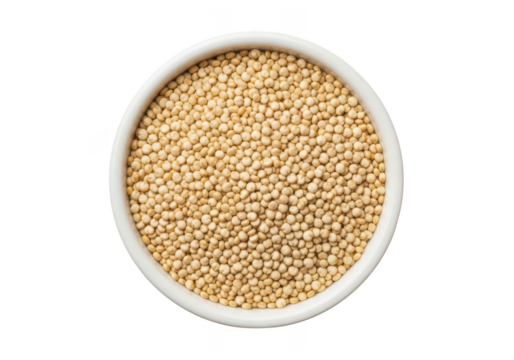 White bowl filled with uncooked light tan quinoa seeds overhead view grain food image