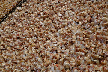 brown rice background